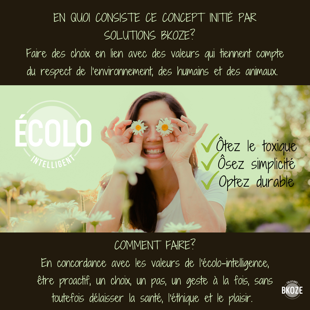 Écolo-intelligent, un concept lancé par Solutions Bkoze qui gagne en popularité!