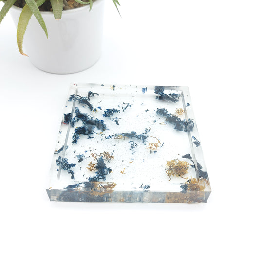 Delycastef vide poche carre