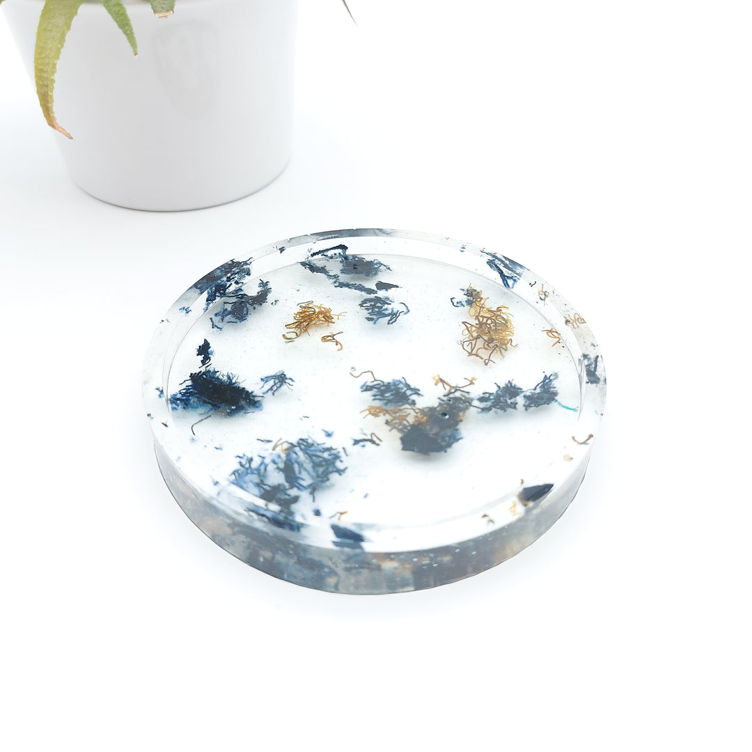 Delycastef vide poche rond