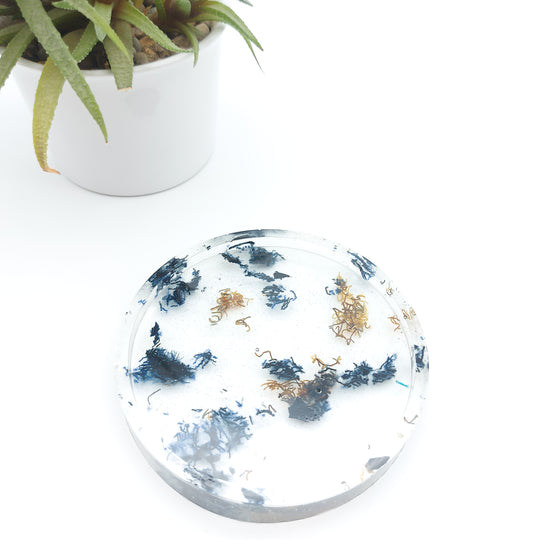 Delycastef vide poche rond 2