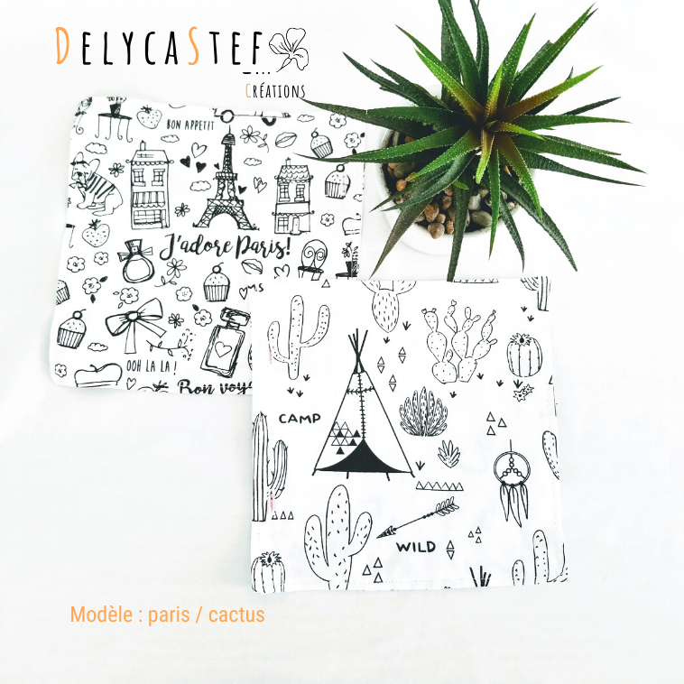 Page de coloriage lavable - cactus / paris - Delycastef