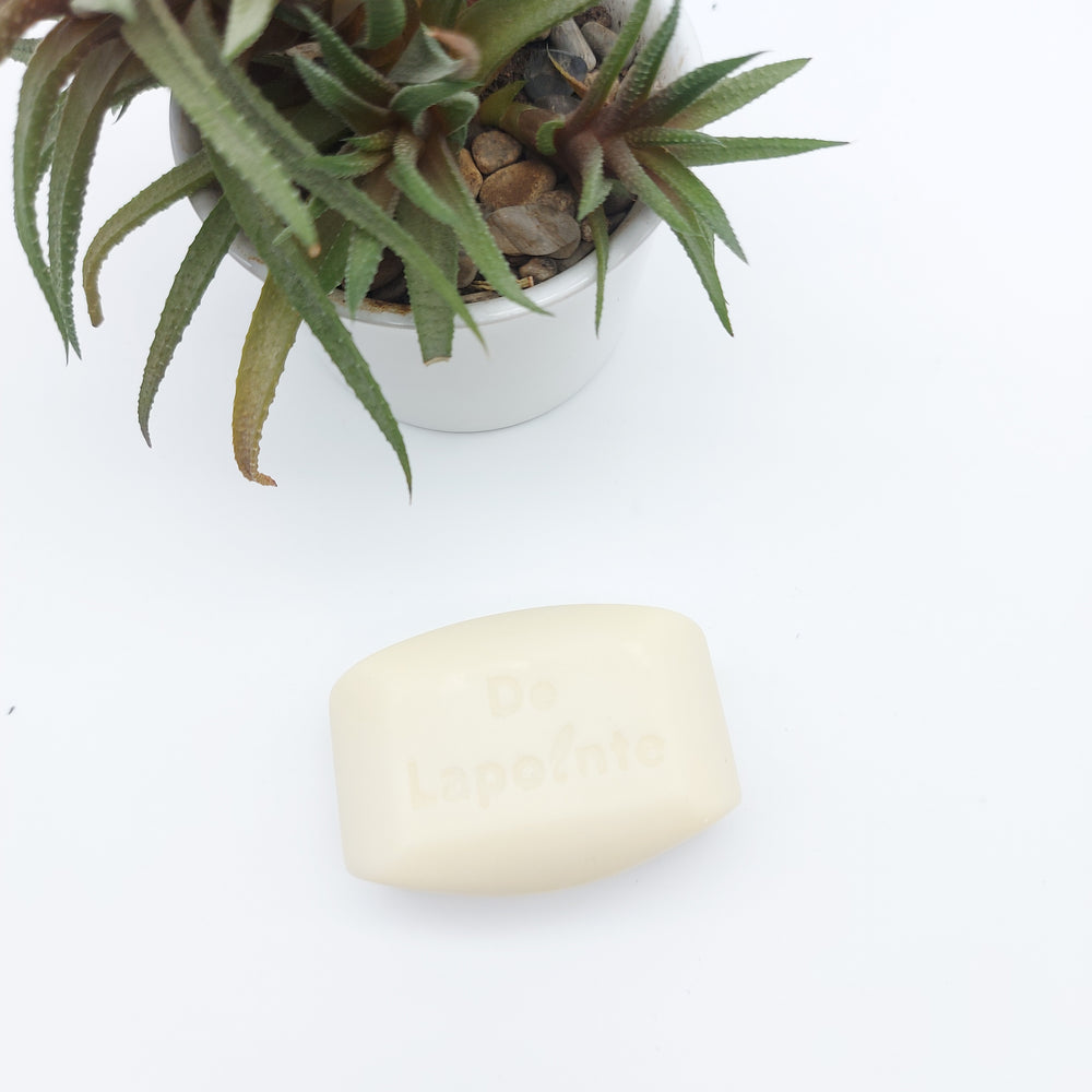 DelycaStef savon solide nature karite
